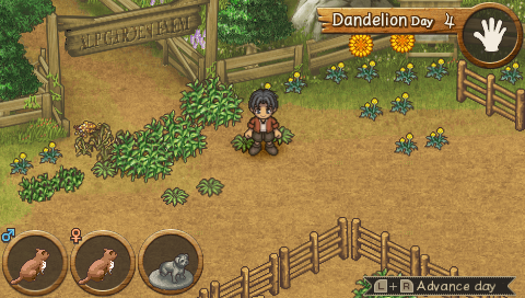 Shepherds Crossing screenshot 3 for PSP